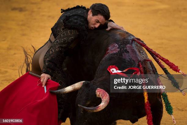 Spanish matador Juan Ortega performs a pass with a muleta on a bull during a bullfight at the Malagueta bullring in Malaga on August 15, 2023.