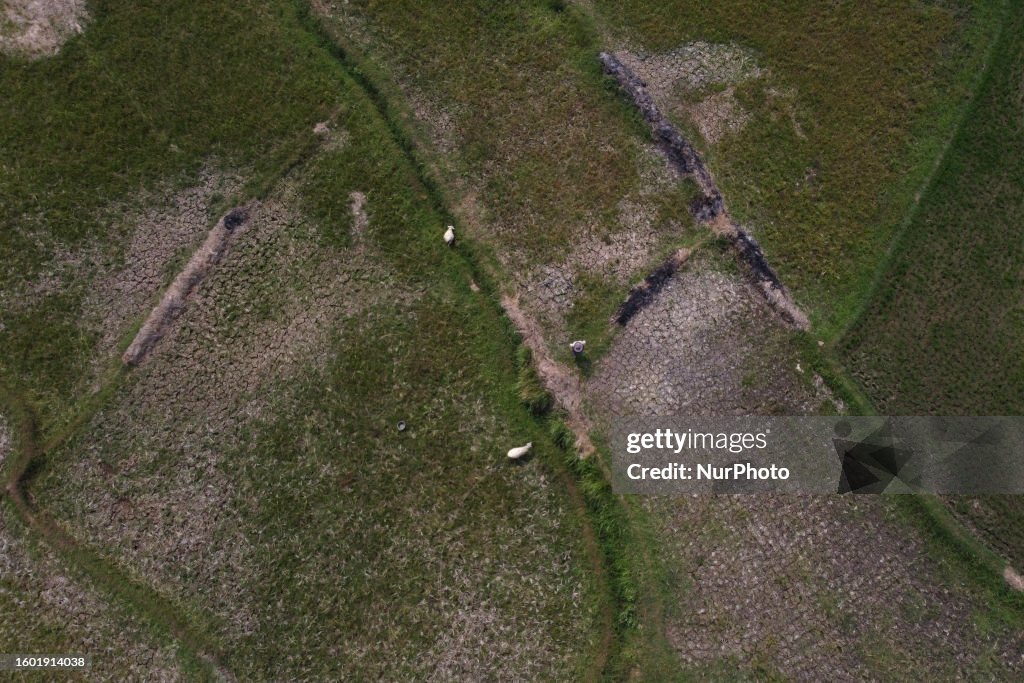 The El Nino Phenomenon Causes Extreme Drought In Indonesia