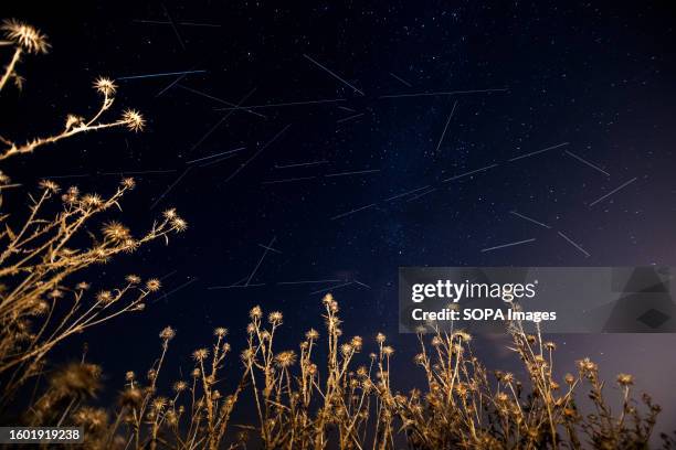 Shooting stars appear in the sky above the withered thorns. Some plane tracks are also visible. The scenic view takes place at similar times in July...