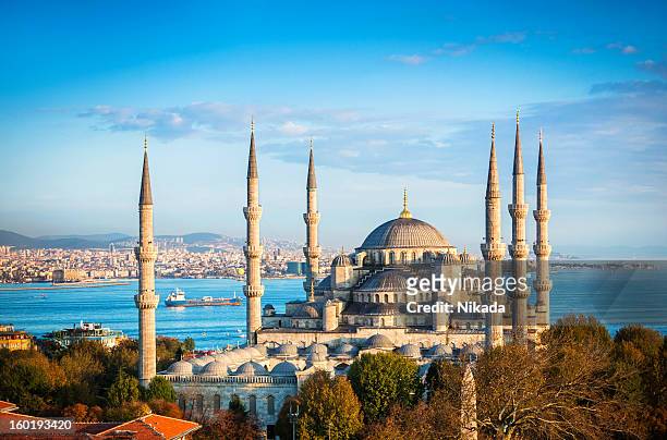 blue mosque in istanbul - istanbul stock pictures, royalty-free photos & images
