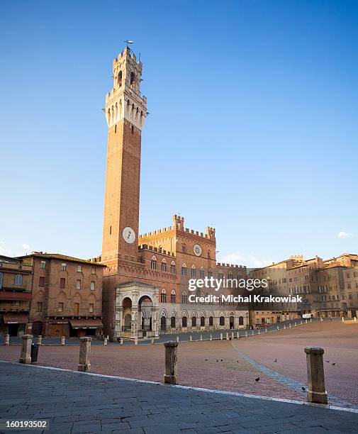 siena (toscana, itália) - praça do campo imagens e fotografias de stock