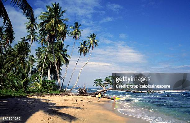 costa rica, provinz limon, playa chiquita, surfer. - limon stock-fotos und bilder