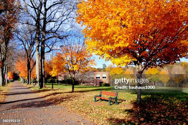 fall foliage on college campus - fall college campus stock pictures, royalty-free photos & images