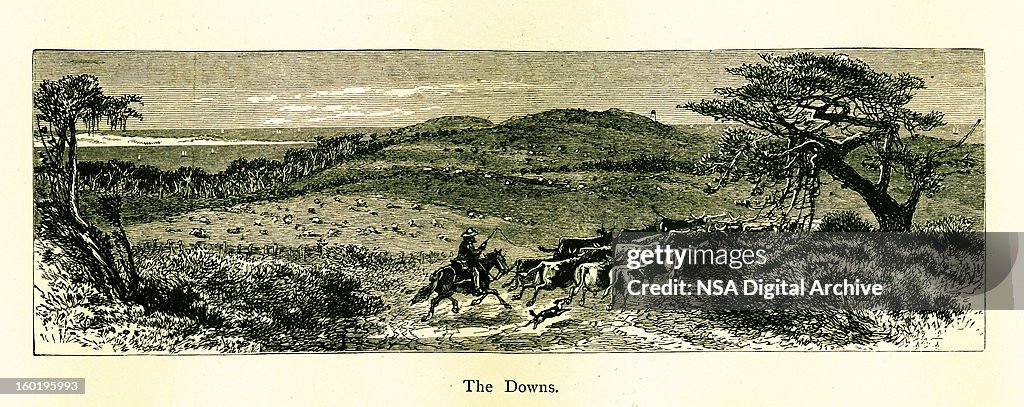 Montauk Downs, Eastern Long Island, New York