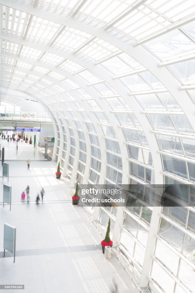 Modern Airport and Traveller