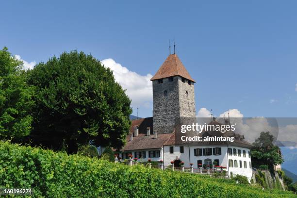 schloss spiez - canton de berne photos et images de collection