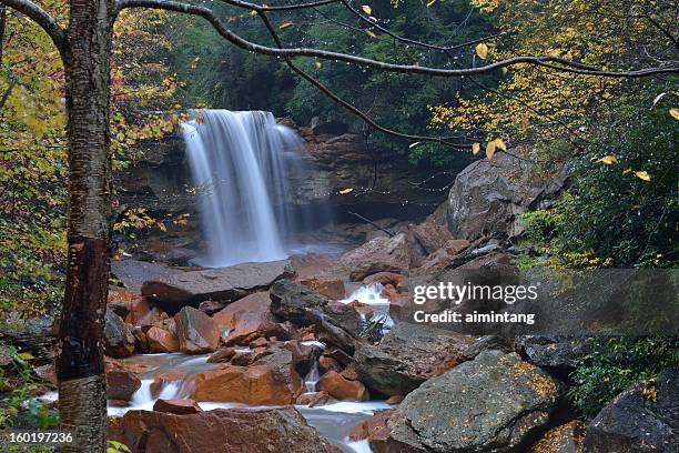 douglas falls - monongahela national forest stock pictures, royalty-free photos & images