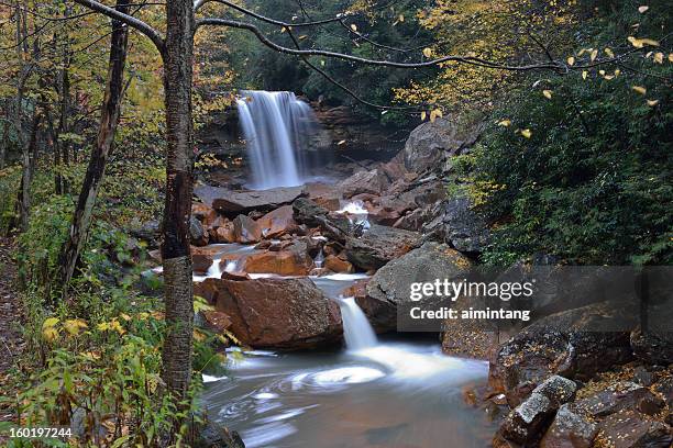 douglas falls - monongahela river stock-fotos und bilder