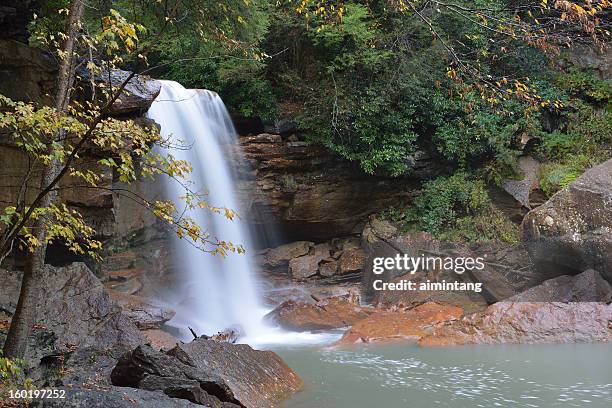 douglas falls - monongahela national forest stock-fotos und bilder