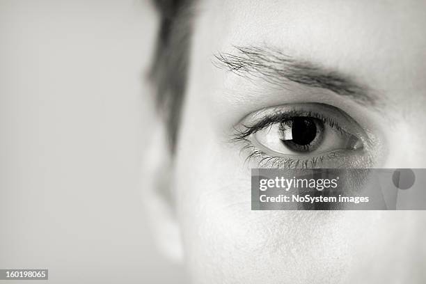 confident look - human eye stock pictures, royalty-free photos & images