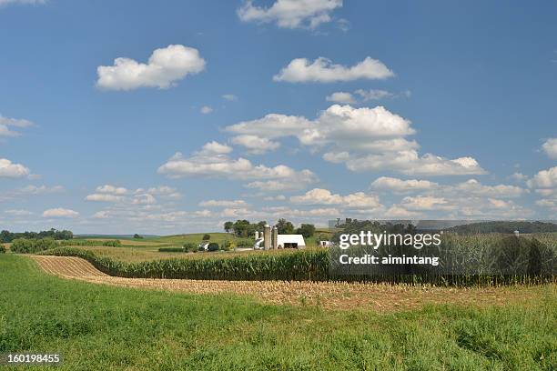 farm in lancaster - lancaster pennsylvania stock pictures, royalty-free photos & images