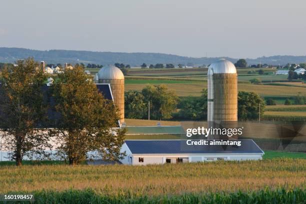 farm - lancaster pennsylvania stock pictures, royalty-free photos & images