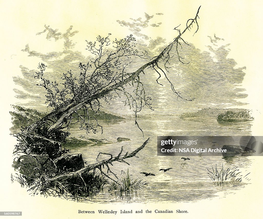 Between Wellesley Island and the Canadian Shore