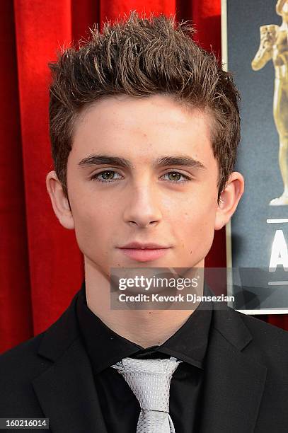 Actor Timothee Chalamet arrives at the 19th Annual Screen Actors Guild Awards held at The Shrine Auditorium on January 27, 2013 in Los Angeles,...