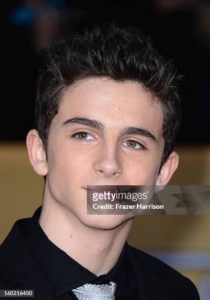 Actor Timothee Chalamet arrives at the 19th Annual Screen Actors Guild Awards held at The Shrine Auditorium on January 27, 2013 in Los Angeles,...