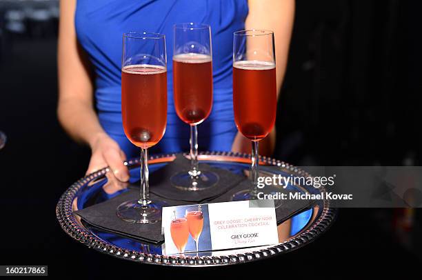 General view of the atmosphere during the 19th Annual Screen Actors Guild Awards at The Shrine Auditorium on January 27, 2013 in Los Angeles,...