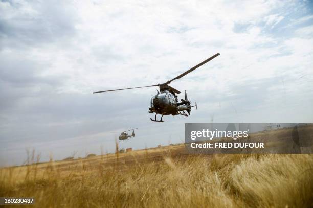 French Gazelle military helicopters, flying back from the city of Timbuktu, arrive at the French army base camp airport on January 28, 2013 in...