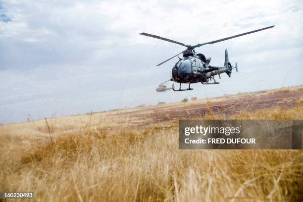 French Gazelle military helicopters, flying back from the city of Timbuktu, arrive at the French army base camp airport on January 28, 2013 in...