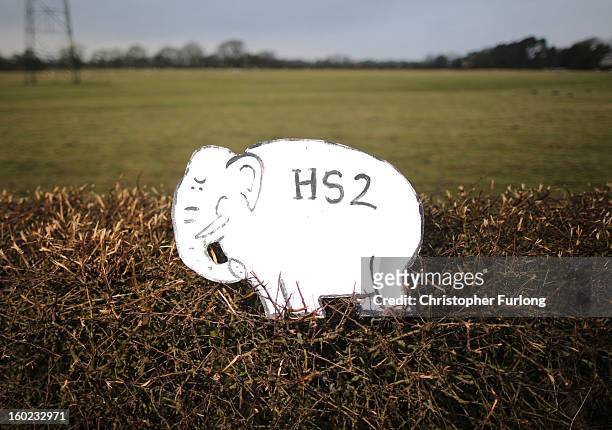 White elephant placard, placed by Joe Rukin from the Stop the HS2 Campaign, sits in a hedegrow near to the planned location of the new HS2 high speed...
