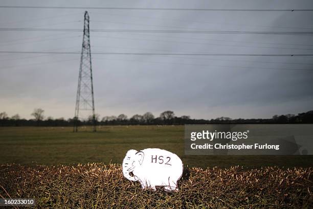 White elephant placard sits in a hedegrow, placed by Joe Rukin from the Stop the HS2 Campaign, in a field near to the planned location of the new HS2...