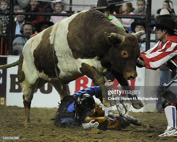 Trevor Kastner, of Ardmore, Oklahoma, tries to stay clear of the bull after falling off during the Bull Riding competition of the Pro Rodeo. The...