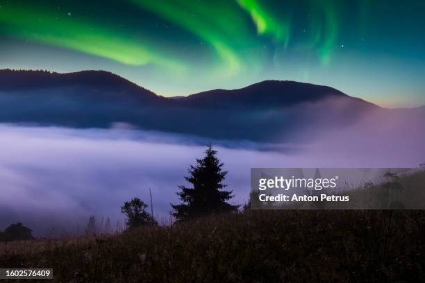 fog in mountains at night with northern lights - boreal forest stock pictures, royalty-free photos & images