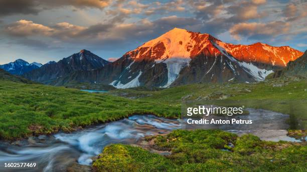 mountain landscape at sunset. altai mountains - larch tree stock-fotos und bilder
