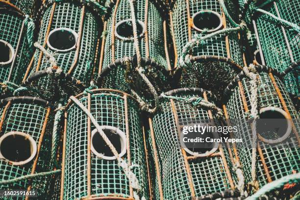 full frame shot of lobster traps - animal back stock pictures, royalty-free photos & images