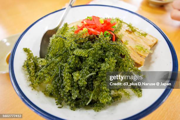 interesting tropical market, makishi public market, naha city, - 那覇市 stockfoto's en -beelden