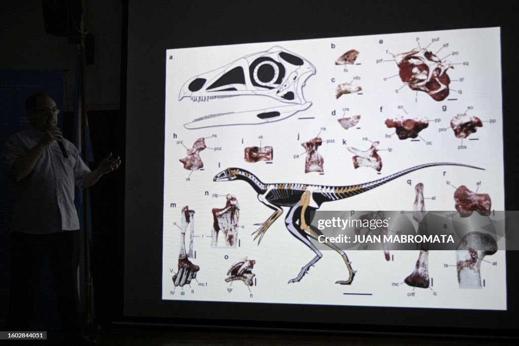 ARGENTINA-PALAEONTOLOGY-REPTILE-FOSSIL