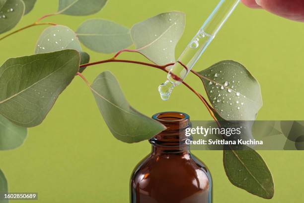 natural, organic, bio cosmetics from herbs and plants - homeopathie stockfoto's en -beelden