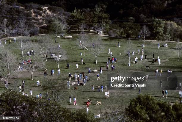 View of the dog park on Mulholland Drive and Laurel Canyon in 1991 in Los Angeles, California.