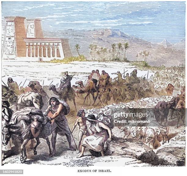 old engraved illustration of exodus of israel - babylonia stock pictures, royalty-free photos & images