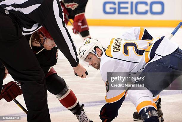 Paul Gaustad of the Nashville Predators prepares to take a face off against Alexandre Bolduc of the Phoenix Coyotes at Jobing.com Arena on January...