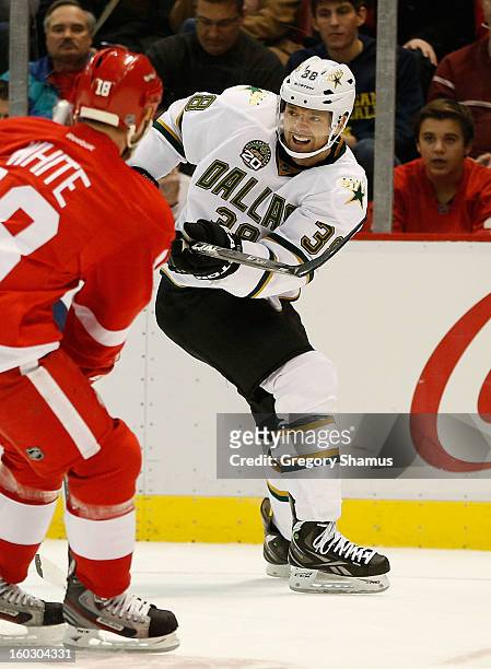 Vernon Fiddler of the Dallas Stars looks to make a play against Ian White of the Detroit Red Wings at Joe Louis Arena on January 22, 2013 in Detroit,...