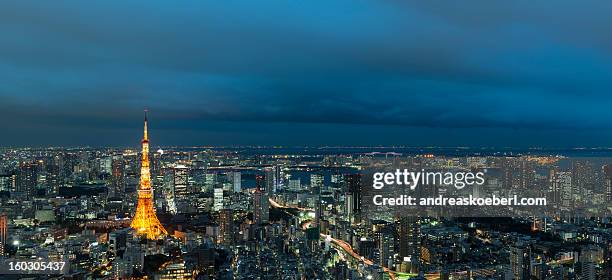 tokyo skyline at night with illuminated buildings - andreaskoeberl stock-fotos und bilder