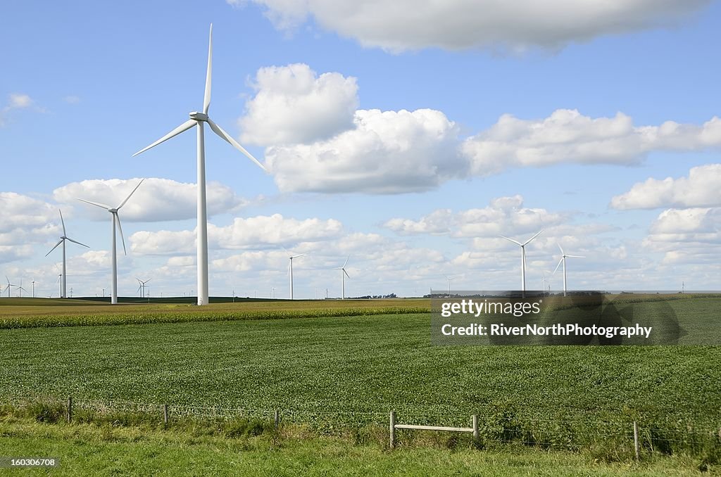 Wind Farm