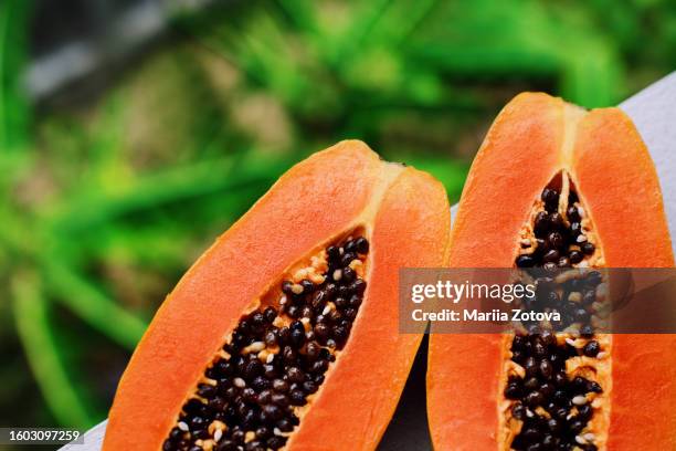 background of orange papaya fruits cut in half - albero di papaya foto e immagini stock