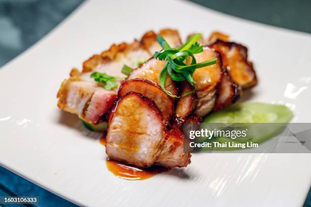 ein teller pf cha siu und gebratenes schweinefleisch mit herzhafter sauce, chinesisches essen - char siu pork stock-fotos und bilder
