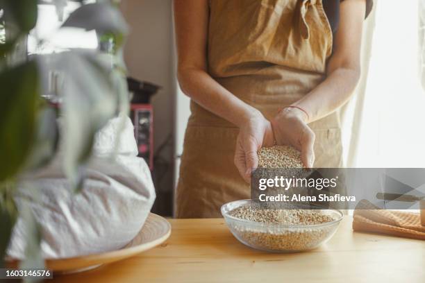 a woman in an apron pours green buckwheat grains into a glass bowl in the kitchen. - buckwheat stock pictures, royalty-free photos & images