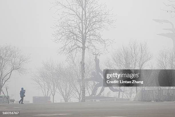 Man wearing a mask walks through fog as severe pollution continues to affect the capital on January 29, 2013 in Beijing, China. China's ruling...