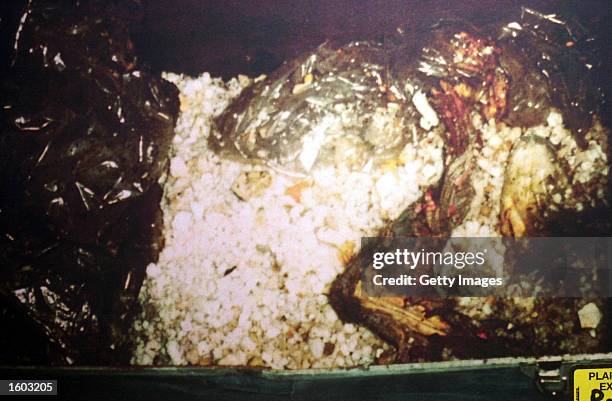 The partial remains of murder victim Holly Maddux found in a trunk are shown in this 1979 file photo. Her boyfriend Ira Einhorn was convicted of her...