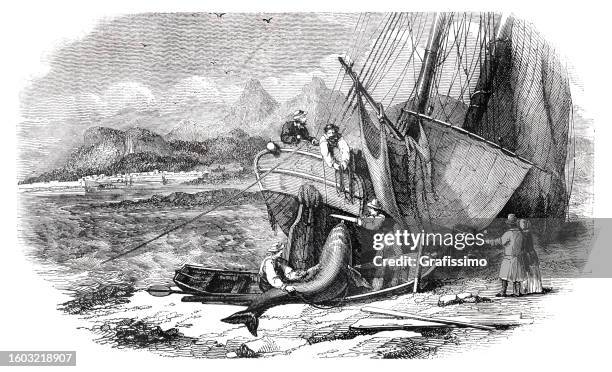 ilustraciones, imágenes clip art, dibujos animados e iconos de stock de pescador pescando narval 1854 - embarcadero