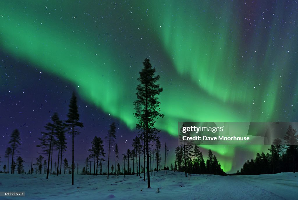Aurora Borealis  Northern Lights Sweden