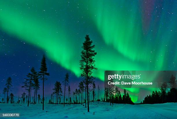 aurora borealis  northern lights sweden - swedish lapland bildbanksfoton och bilder