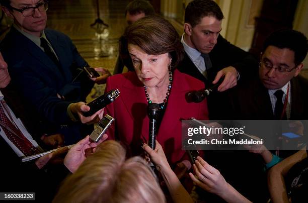 Sen. Dianne Feinstein, D-Calif., speaks to the press at the weekly Senate luncheons. She has introduced a bill with a gun ban list that would...