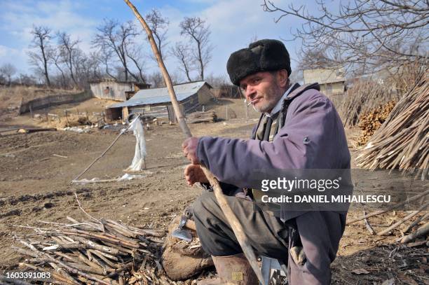 Local man chops wooden sticks on March 22, 2012 to be used in the vineyards of the village of Banca, 280km northeast from Bucharest. Romania is...