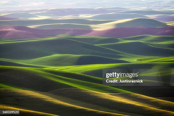 palouse rolar hills - palouse imagens e fotografias de stock