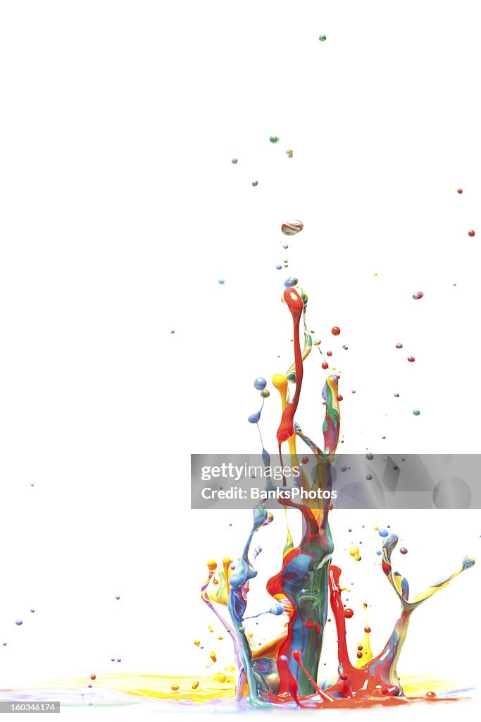 Multicolor Paint Splash Isolated on White