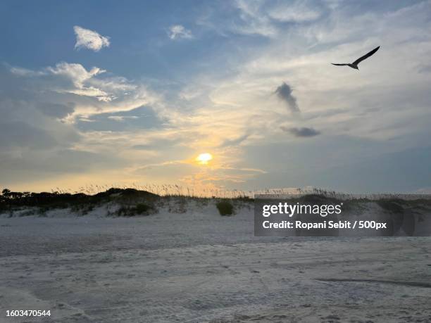 scenic view of beach against sky during sunset,jacksonville,florida,united states,usa - jacksonville beach florida stock pictures, royalty-free photos & images